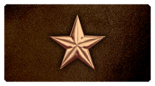 DSC700 430 CP BR Star Copper Brown